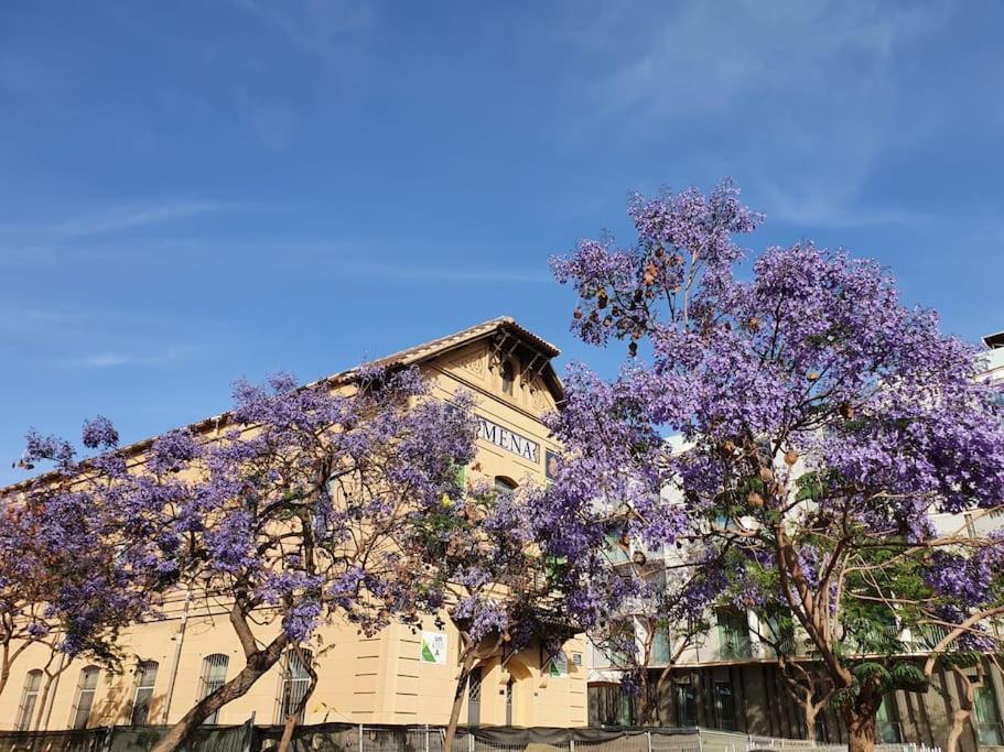 Apartment Modern A Few Minutes To The Center - Trip Malaga